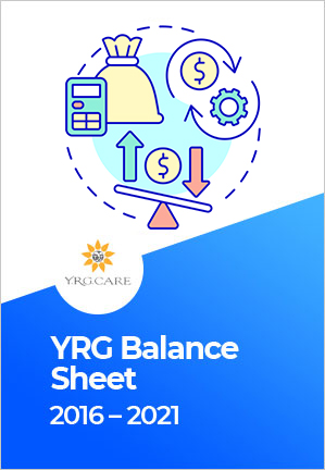 YRG Balance Sheet 2016-2021