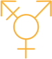 Mitr Clinics (for Trans-persons)